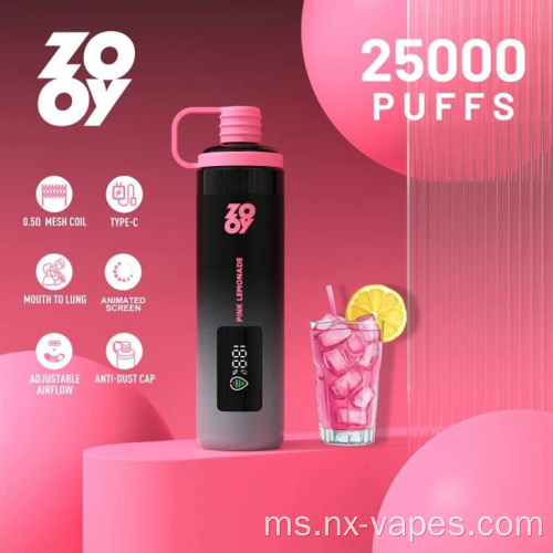 Zooy Shisha 25000 Puffs Vape Gigi